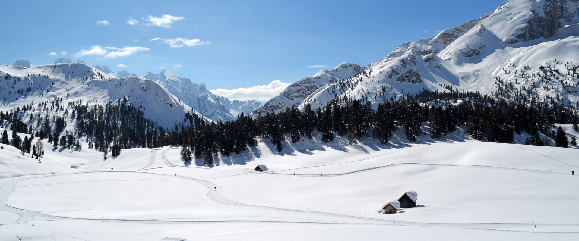 Plätzwiese Plätzwiese pasture with cross-country ski run in winter